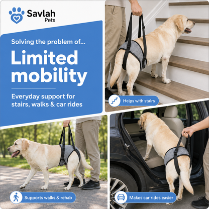 Savlah Pets Dog Lift Harness – Rear Leg Support Sling